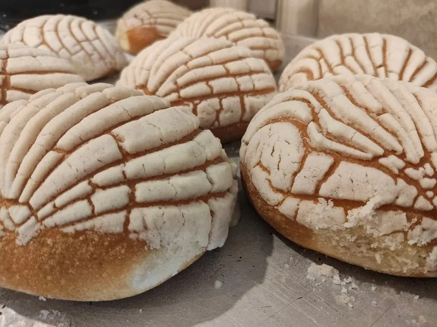 Conchas de Chocolate
